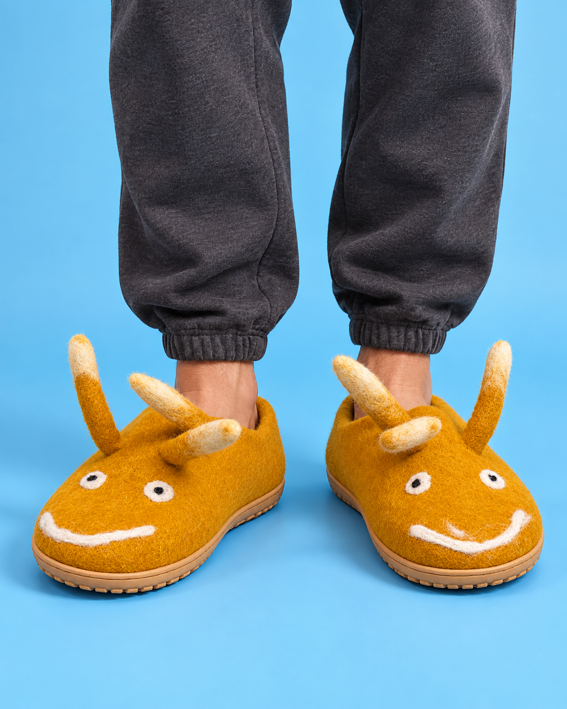 Felt Shoes