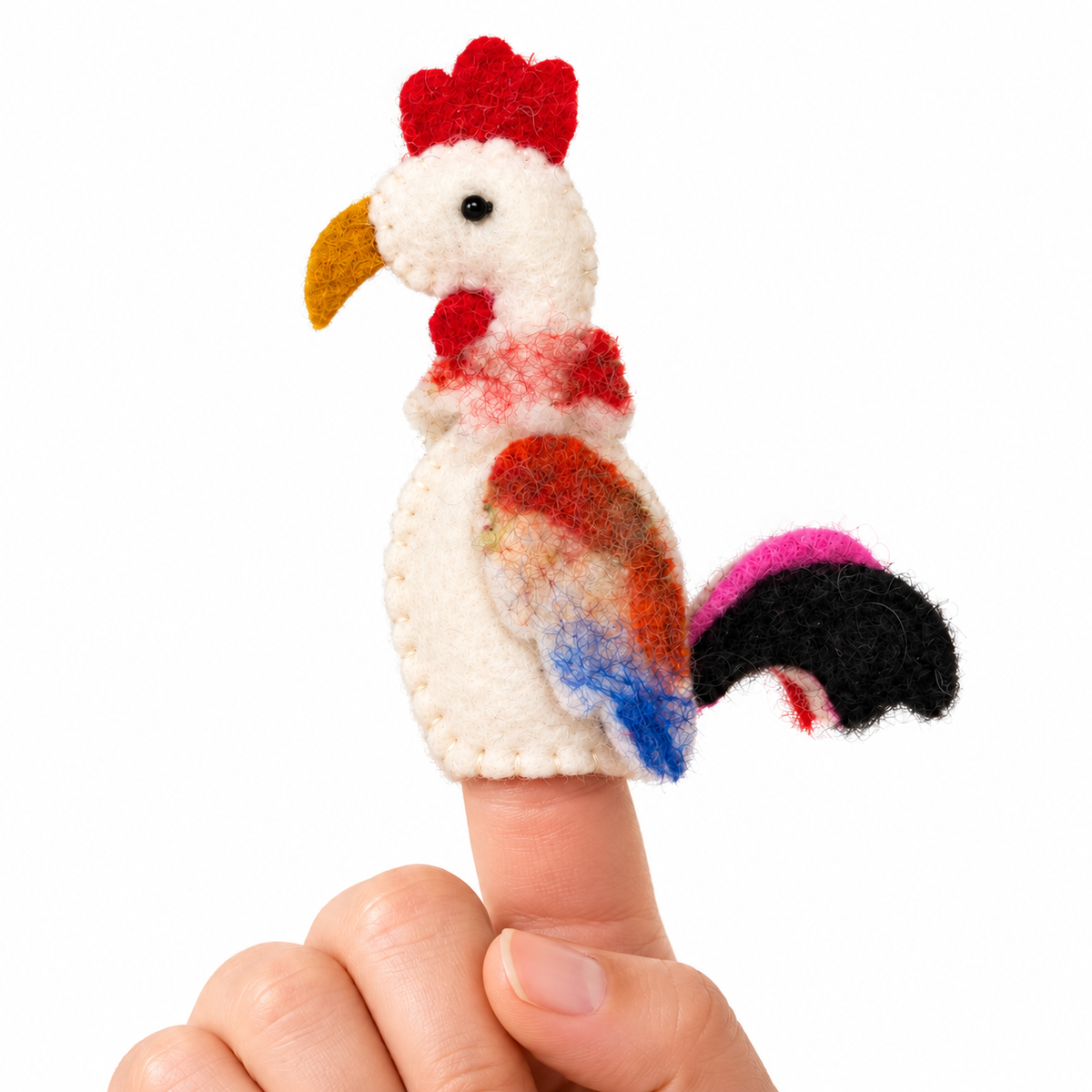 Coco The Chicken