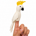Jonny The Parakeet