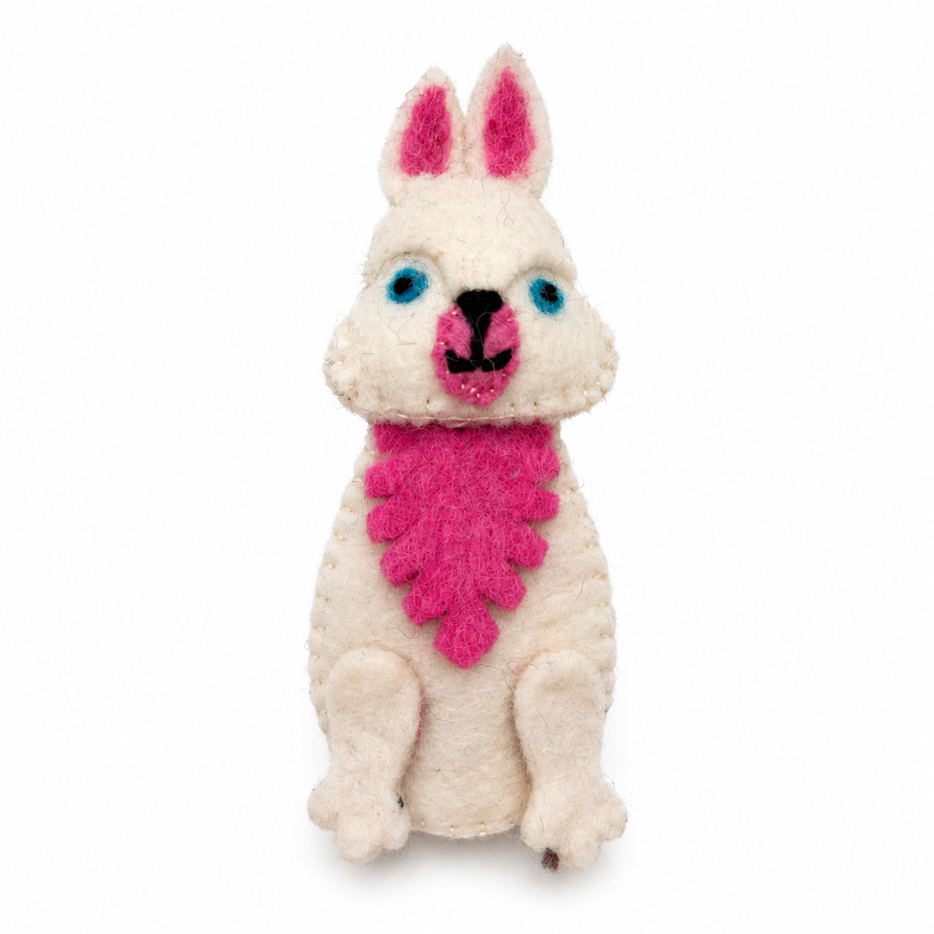 Ted the Bunny